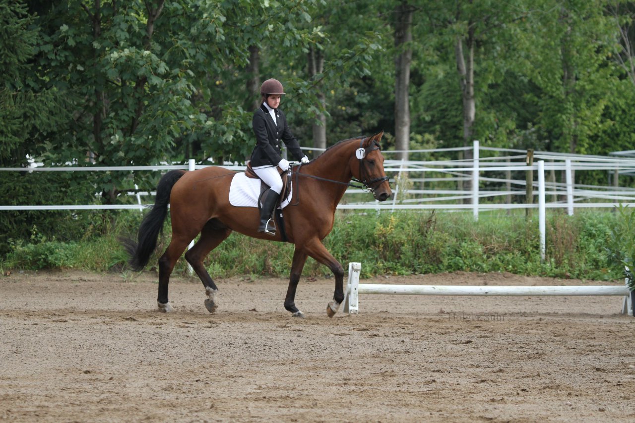 Bild 189 - WBO-Turnier am 18.9.11